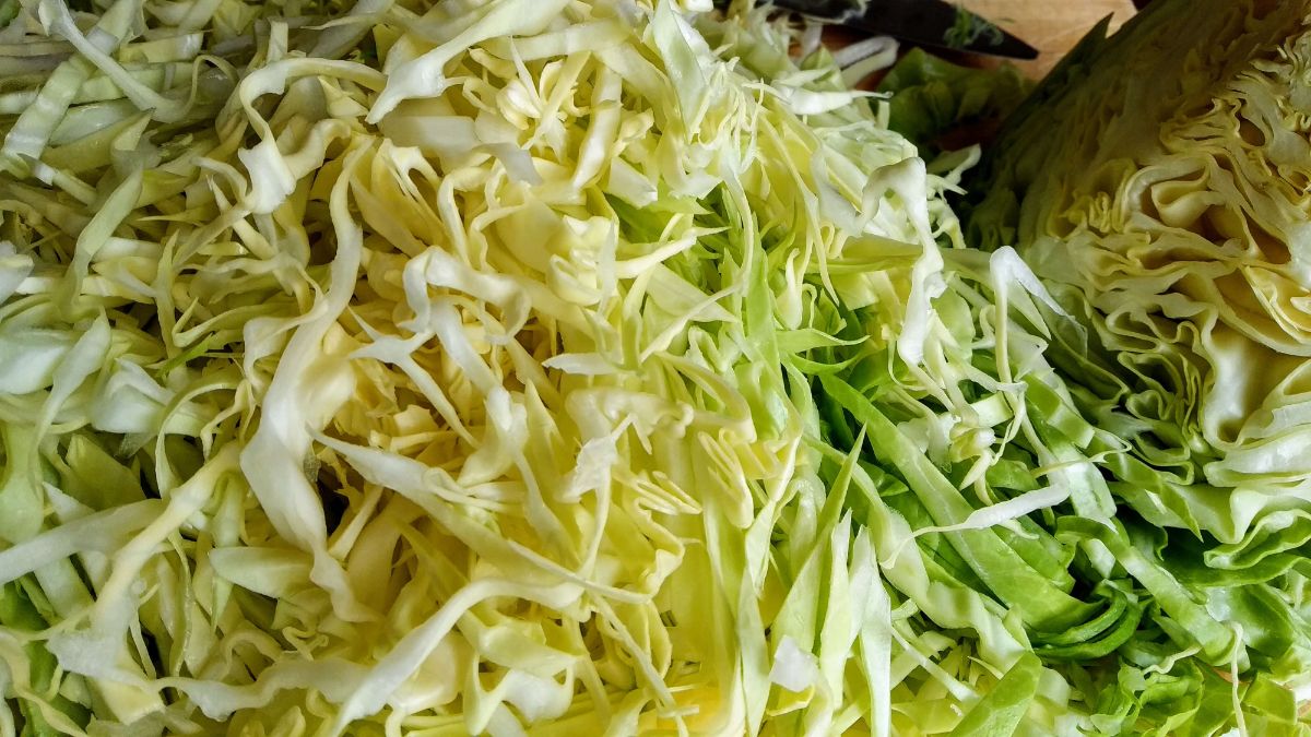chopped young cabbage - instantpot club