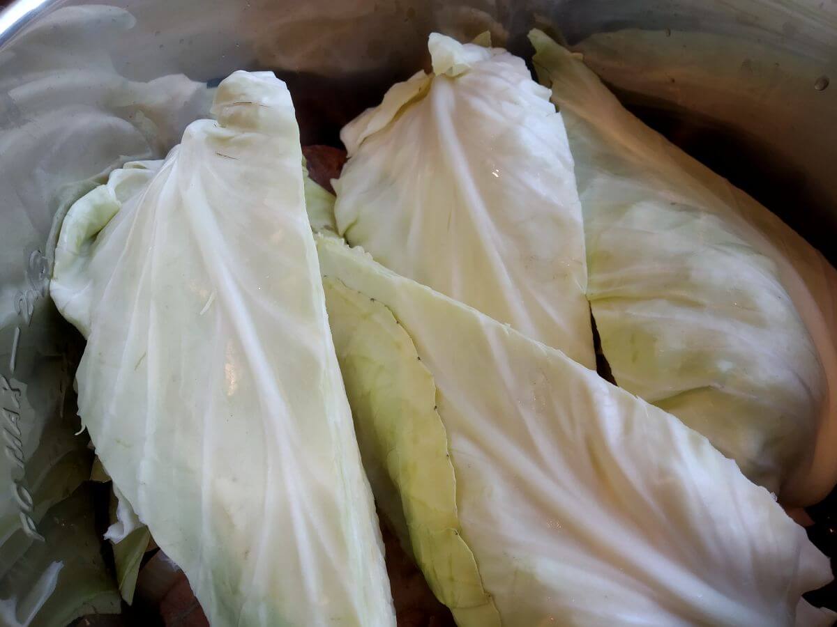 pork neck under fresh cabbage inside instant pot